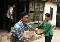 Điện ảnh thiếu trường quay